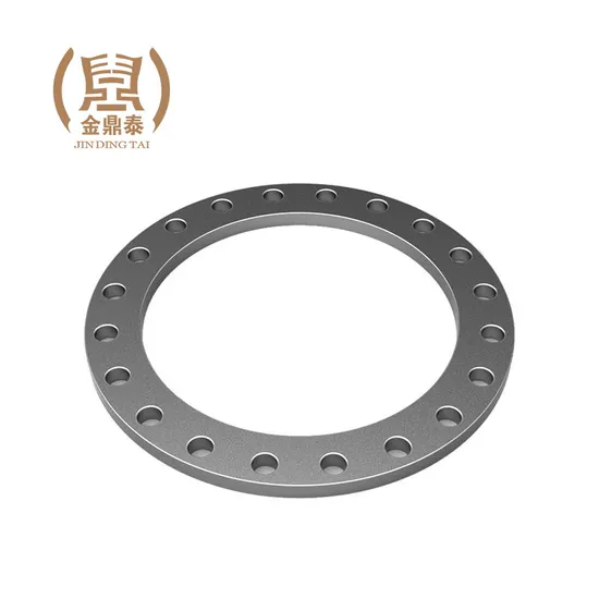 ANSI B16.5/DIN/En1092/GOST Plate/Socket RF/FF Pipe Flange